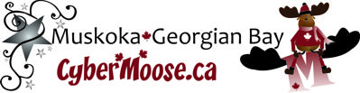 CyberMoose.ca